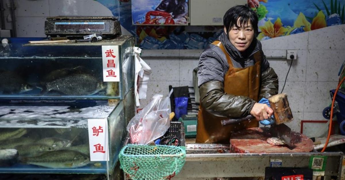 Mauricio Percara: “China afirma que el COVID-19 está regresando a través de alimentos importados”