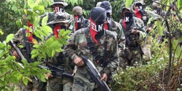 grupos irregulares y Maduro