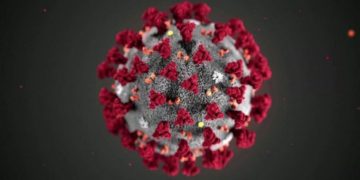 Pandemia del COVID-19