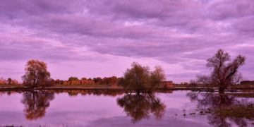 Acciones y cambio climático