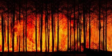 Cambio Climático y Voluntad Política