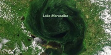 Lago de Maracaibo