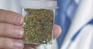 Cannabis y Panamá