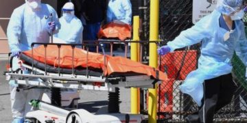 Mutaciones y COVID-19