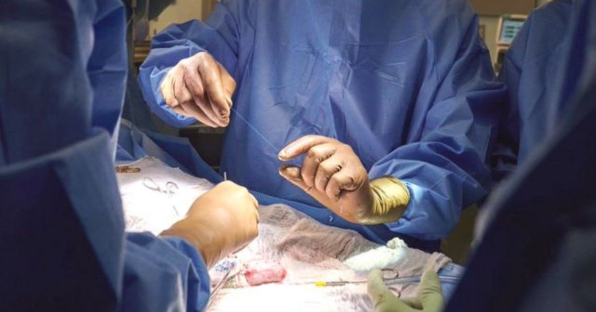 ¡Nuevo trasplante de un cerdo modificado a un humano!: El organismo de una persona cerebralmente muerta aceptó satisfactoriamente un trasplante de riñón