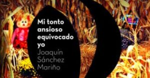 El periodista argentino Joaquín Sánchez Mariño presentó su nueva novela «Mi tonto ansioso equivocado yo»
