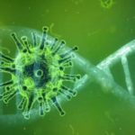 ¿Cuál es el verdadero origen del COVID-19?